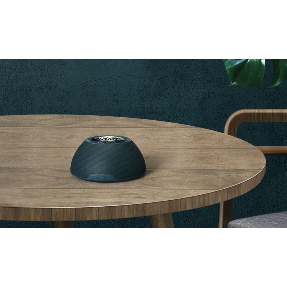 2396 Bluetooth Speaker with Wireless charger